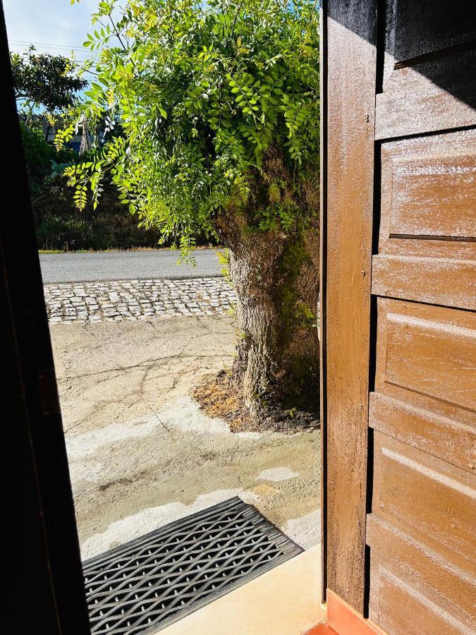 Mae Home Carril Caldas Da Rainha Dış mekan fotoğraf