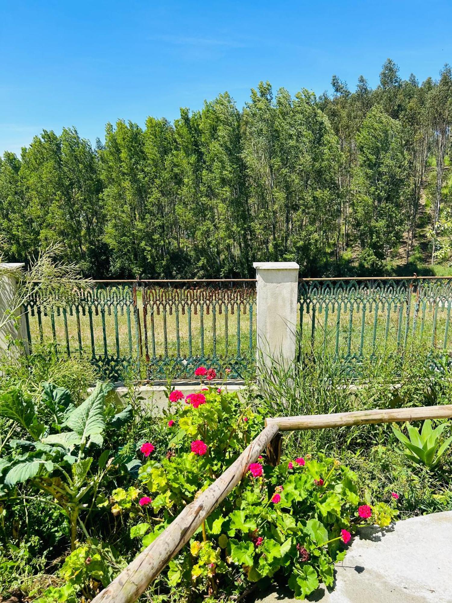 Mae Home Carril Caldas Da Rainha Dış mekan fotoğraf